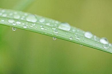 Steam更新实用搜索功能 追加难度调整随时存储等关键词